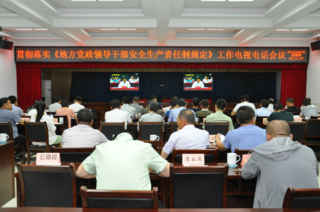 安洪涛出席贯彻落实地方党政领导干部安全生产责任制规定电视电话会议