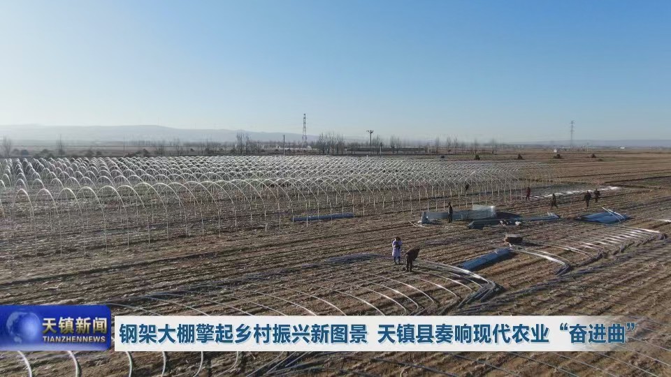 钢架大棚擎起乡村振兴新图景 天镇县奏响现代农业“奋进曲”